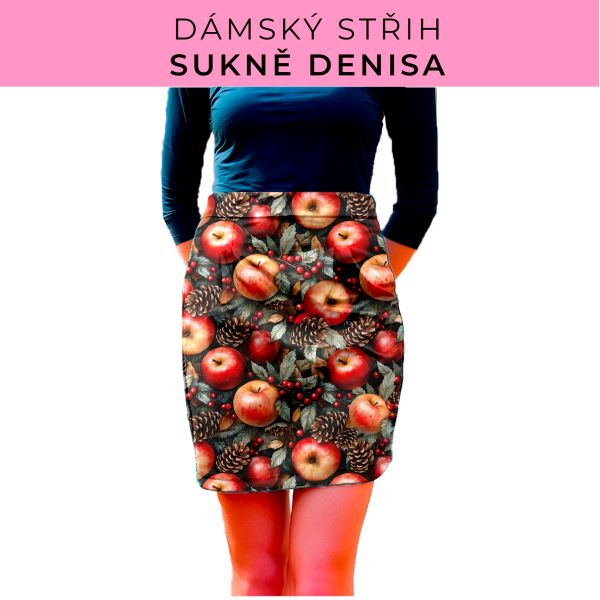 Dámský střih - Dámská sukně Denisa