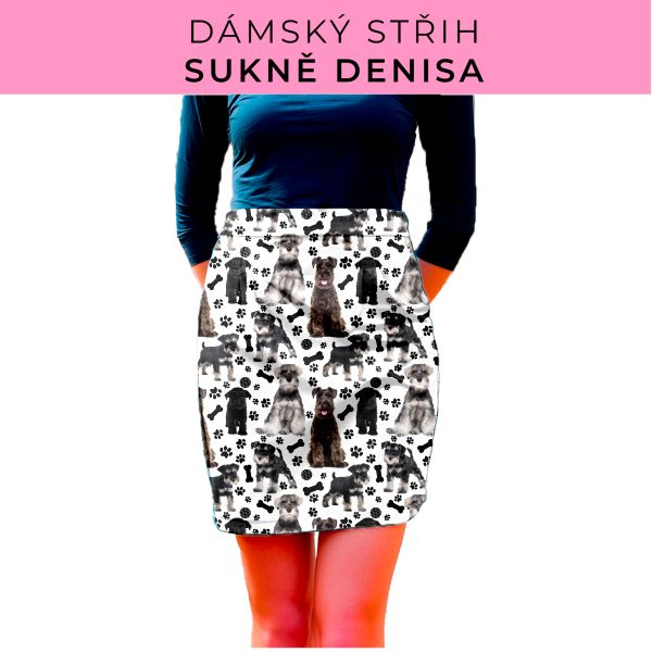 Dámský střih - Dámská sukně Denisa
