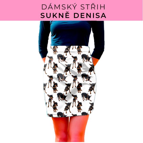 Dámský střih - Dámská sukně Denisa
