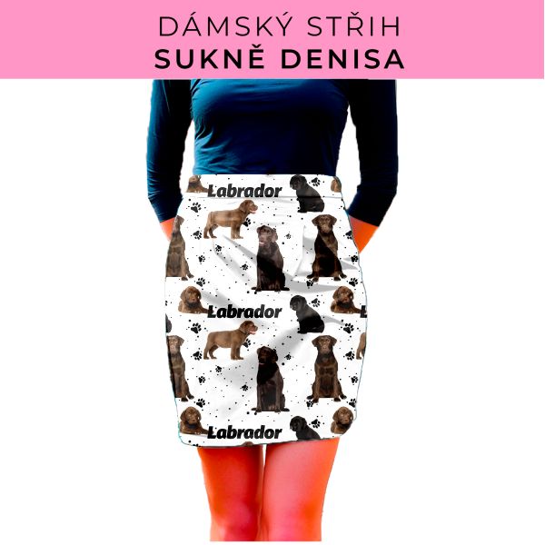 Dámský střih - Dámská sukně Denisa