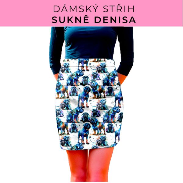 Dámský střih - Dámská sukně Denisa
