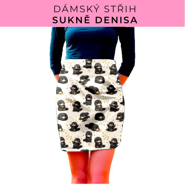 Dámský střih - Dámská sukně Denisa