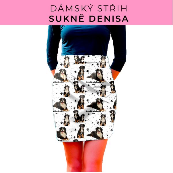 Dámský střih - Dámská sukně Denisa