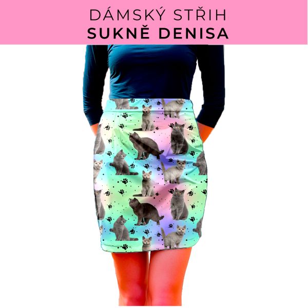 Dámský střih - Dámská sukně Denisa