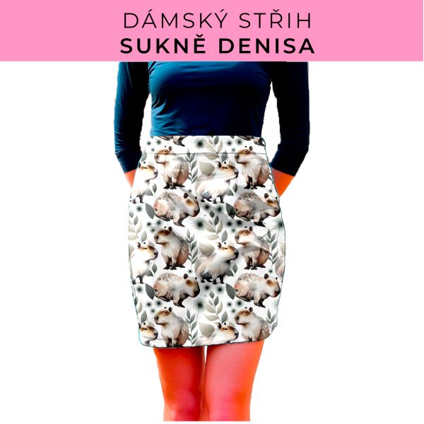 Dámský střih - Dámská sukně Denisa