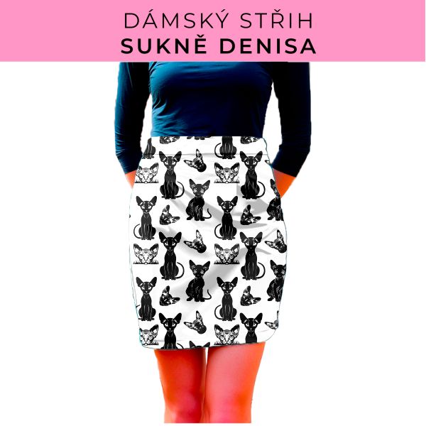 Dámský střih - Dámská sukně Denisa