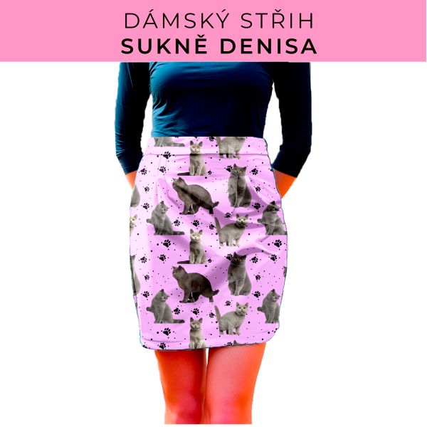 Dámský střih - Dámská sukně Denisa