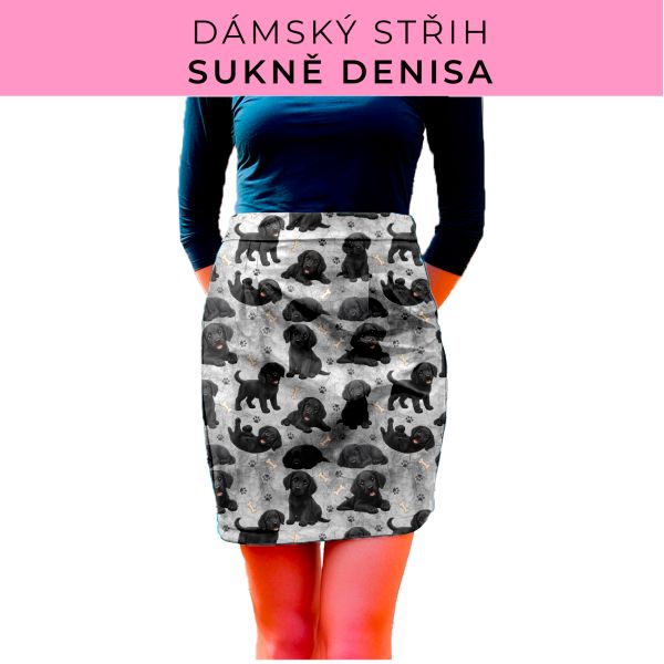 Dámský střih - Dámská sukně Denisa
