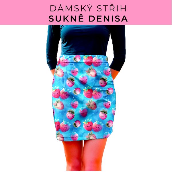 Dámský střih - Dámská sukně Denisa