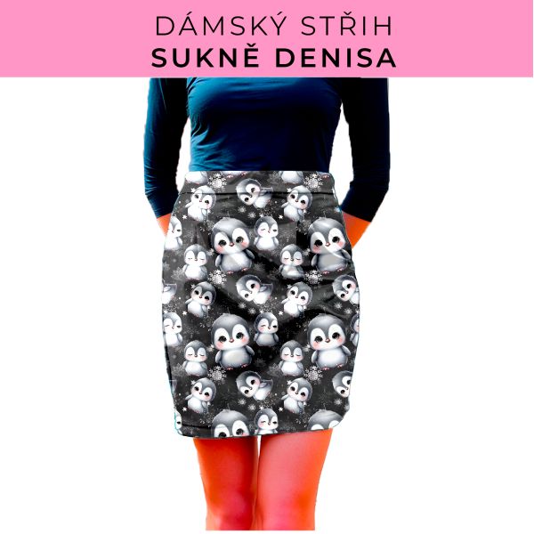 Dámský střih - Dámská sukně Denisa