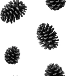 SAM2402B (ŠIŠKY minimalismus -   materiálové varianty)