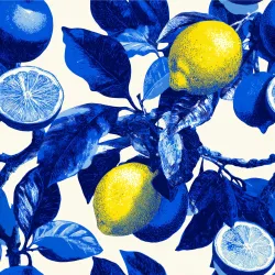 SAM2599 (Citrony - materiálové varianty    )