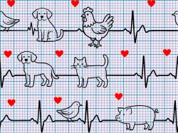 SAM2647C (Veterinář KARDIO KŘIVKA - materiálové varianty     )