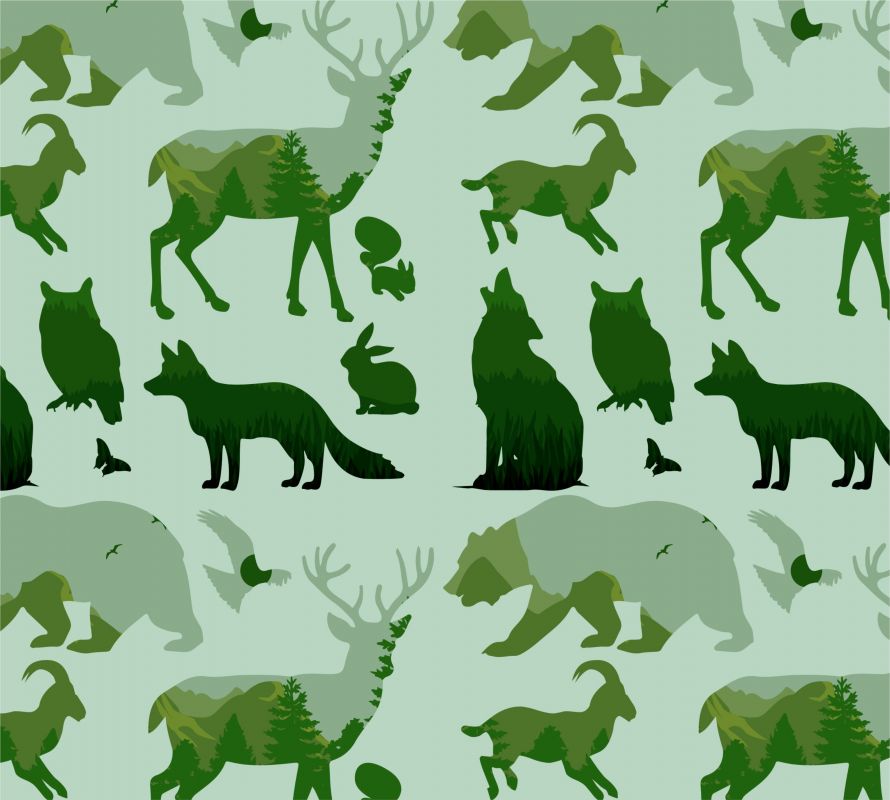 Přechodová zvěř-materiálové varianty mavaga design