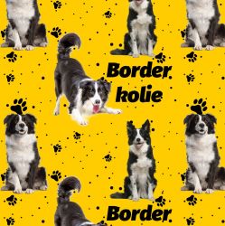 Border kolie na šedé -materiálové varianty mavaga design