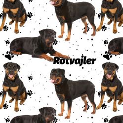 Rotvajler na bílé -materiálové varianty mavaga design