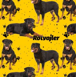 Rotvajler na šedé -materiálové varianty mavaga design