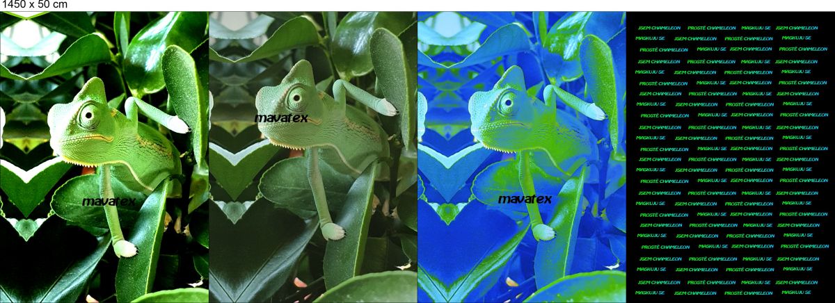 PANEL na triko –chameleon- varianty -DĚTSKÉ mavaga design