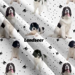 Landseer -materiálové varianty mavaga design