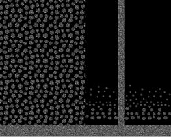 Dvoj-PANEL na šaty / triko/leginy -TLAPKY DIAMANTOVÉ- materiálové varianty mavaga design