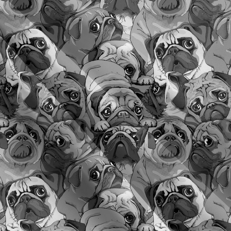 Mops pop art černobílý- materiálové varianty mavaga design