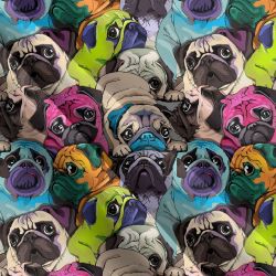 Mops pop art - materiálové varianty mavaga design Mops pop art - materiálové varianty mavaga design