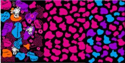 TROJ- PANEL  DĚTSKÝ - KRAVIČKA fluo MIX  - varianty | TORINO 140 gsm -funkční úplet, Funkční úplet MILKY, LYCRA 200, GARZATO 200gsm- funkční úplet počesaný, Termo lycra počesaná, DOLOMOTY 250, Softshell zimní 320 gsm, Softshell letní pružný 220gsm, Softshell jarní 285 gsm, Kočárkovina