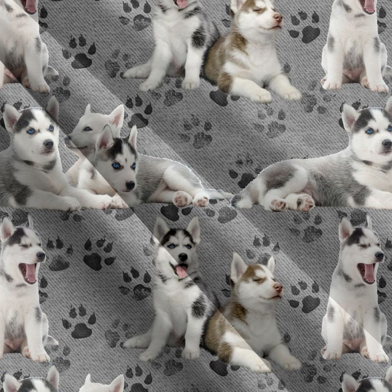 Husky +tlapky-materiálové varianty mavaga design