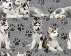 SAM800 (Husky +tlapky-materiálové varianty)