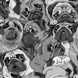 SAM642B (Mops pop art černobílý- materiálové varianty)