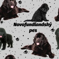 SAM500B (Novofundland na šedé -materiálové varianty)