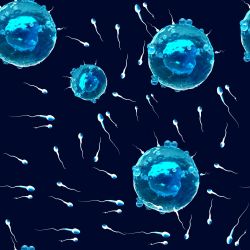 SAM372 (IVF- materiálové varianty)