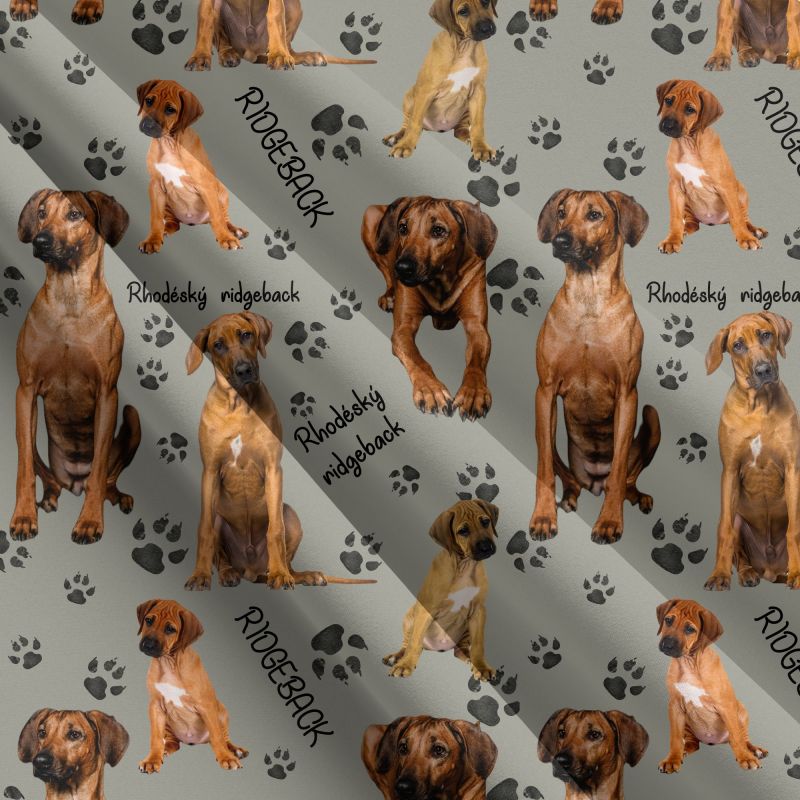 RIDGEBACK na šede army-materiálové varianty mavaga design