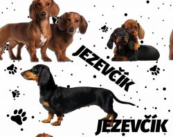 SAM216A (Jezevčík na bílé -materiálové varianty)