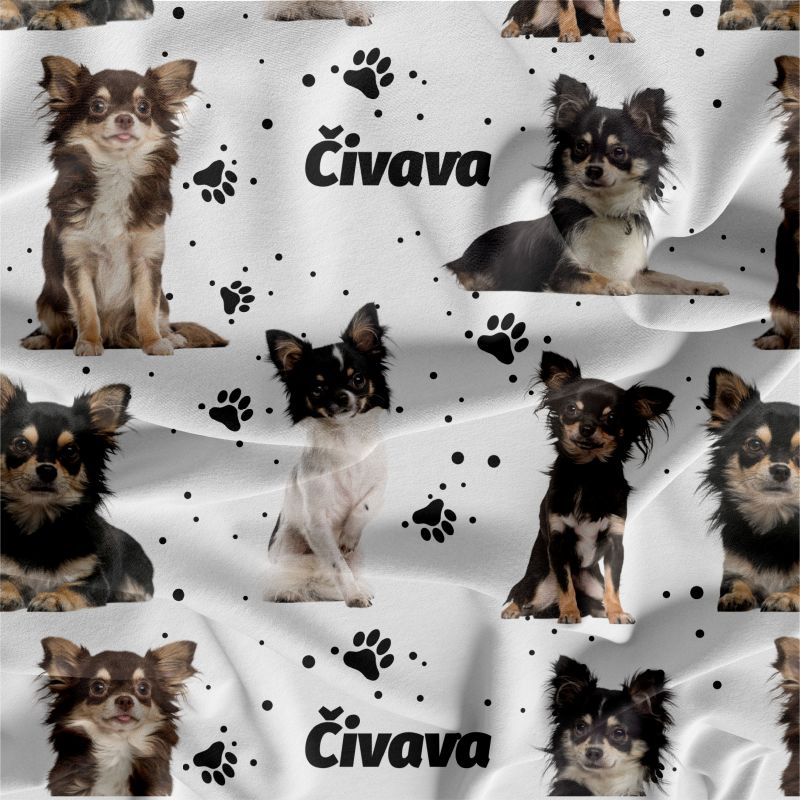 Čivava chlupatá na bílé- materiálové varianty mavaga design