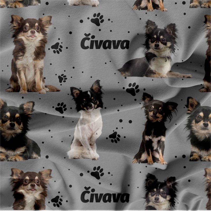 Čivava chlupatá na šedé- materiálové varianty mavaga design