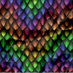 Duhová dračí kůže - materiálové varianty mavaga design