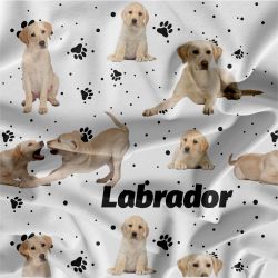 Labrador světlý na bílé- materiálové varianty mavaga design