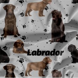 Labrador tmavý na šedé- materiálové varianty mavaga design