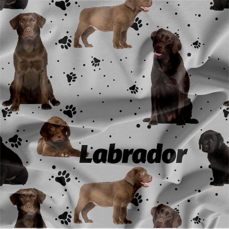 Labrador tmavý na šedé- materiálové varianty mavaga design