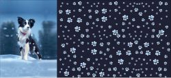 PANEL na TRIKO/MIKINU -BORDERKOLIE- materiálové varianty mavaga design