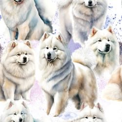 SAM1035 (Samoyed- materiálové varianty)