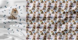 Panel POMOŘSKÝ PES–materiálové varianty!!   | BELLA - 210 gsm, TORINO 140 gsm -funkční úplet, Funkční úplet MILKY, GARZATO 200gsm- funkční úplet počesaný, DOLOMOTY 250, Softshell zimní 320 gsm, Kočárkovina, X-BAVLNĚNÝ SATÉN, X-BAVLNĚNÝ ÚPLET, X-BAVLNĚNÁ TEPLÁKOVINA