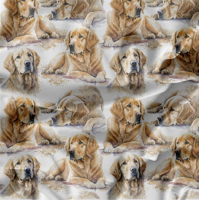 ZLATÝ RETRIEVER- materiálové varianty mavaga design
