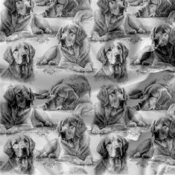 ZLATÝ RETRIEVER- materiálové varianty mavaga design