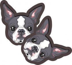PANEL na polštář - Boston Terrier  | GARZATO 200gsm- funkční úplet počesaný, Kočárkovina