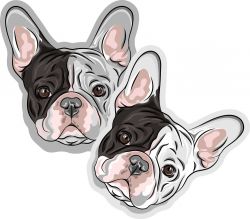 PANEL na polštář - Francouzký buldog | GARZATO 200gsm- funkční úplet počesaný, Kočárkovina