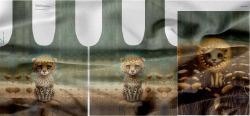 Panel na tašku -TIGER