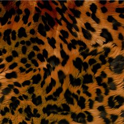 Kožešina leopard hnědý- materiálové varianty | BELA, Torino -úplet funkční, MILKY -úplet funkční, Lycra, PUSH UP LYCRA/ plavkovina, GARZATO 200gsm- funkční úplet počesaný, Termo lycra počesaná, Softshell zimní 320 gsm, Softshell LETNÍ NEPRUŽNÝ, Softshell letní pružný 220gsm, Softshell jarní 285 gsm, Kočárkovina, Silver pružné plátno, SILKY, DOLOMITY--úplet /teplákovina počesaný