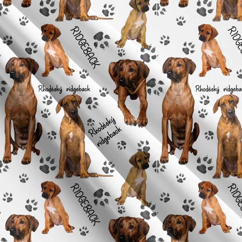RIDGEBACK na bílé -materiálové varianty mavaga design